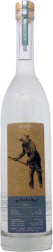 Puntagave Raicilla Agave Spirit Sierra Mexico