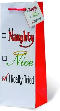 Gift Bag Naughty, Nice, I Really Tried