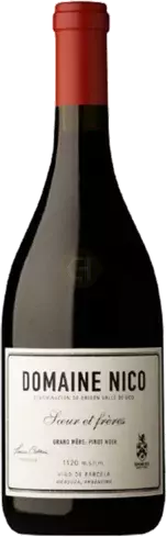Domaine Nico Grand Mere Pinot Noir Argentina Mendoza