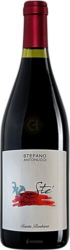 G Rivetti Indigenous Rosso Piceno Ll3 D