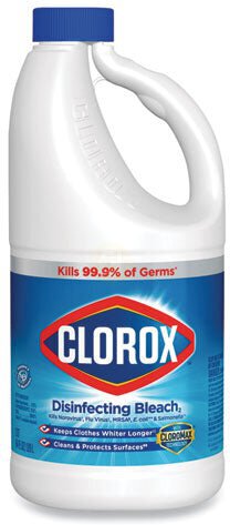 Clorox Bleach