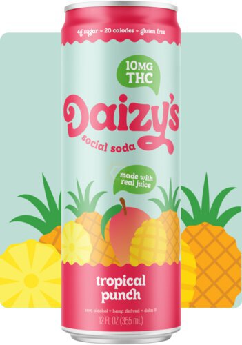 Daizy's Tropical Punch Soda Thc 10mg Cn