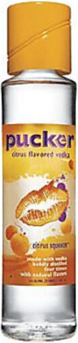 Dekuyper Pucker Vodka Citrus