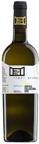 [PRE-ORDER] Vigne Guadagno Falanghina