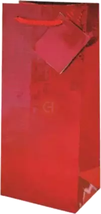 Gift Bag Red Foil