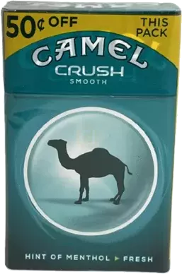 Camel Crush Smooth Men B