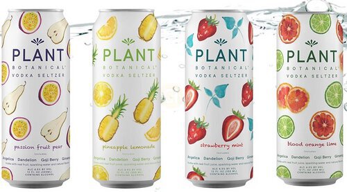 Plant Botanical Rtd Blood Orange