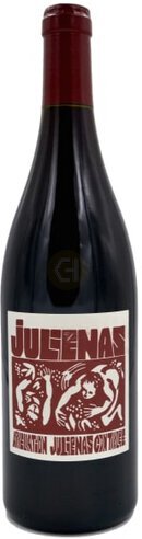 Domaine De La Cadette La Soeur Julienas Gamay