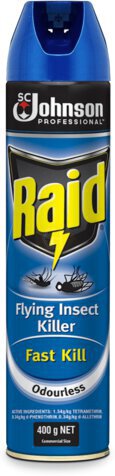 Raid Flying Insct Klr Ss Each