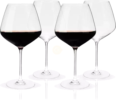 VISKI RESERVE BURGUNDY WINE GLASS