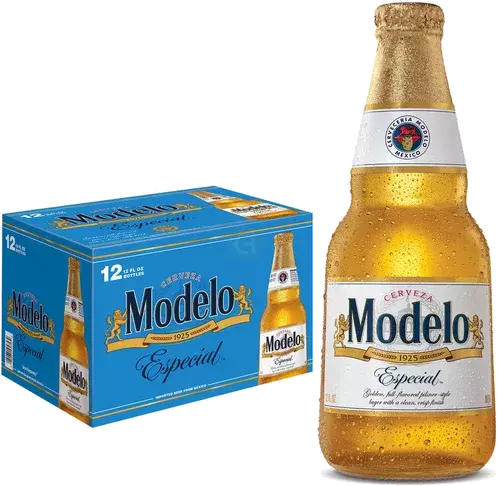 Modelo Especial Nr