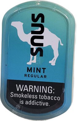 Chew Camel Snus Mint Pch