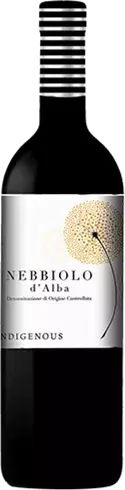 Nebbiolo D'alba Indigenous Selection Italy