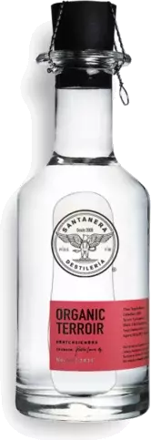 Destileria Santanera Organic Batch Siembra Tequila