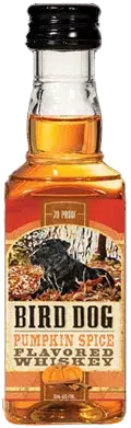 Bird Dog Pumpkn Spice Whsky Abv Single Plastic
