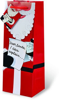 Gift Bag Dear Santa I Can Explain
