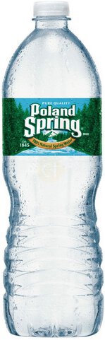 POLAND SPRING 16.9 OZ