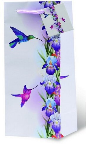 Wrap Art Gift Bag Hummingbird