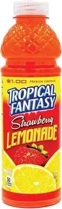 22ozbot Tropical Fantasy Strawberry Lemonade