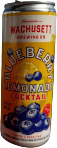 Wachusett Blueberry Lemonade Cocktail