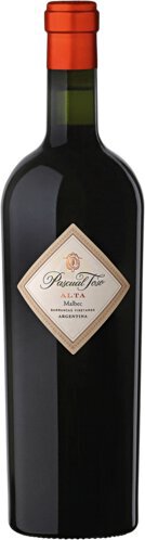Pascual Toso 2013 Alta Malbec