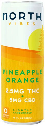 North Vibes Pineapple Orange Single