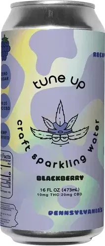 Endo Tune Up Blackberry 10mg Thc