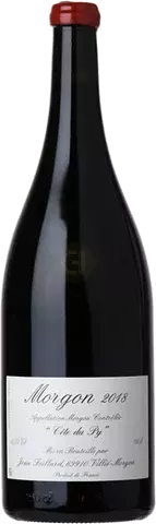 Domaine Foillard Morgon Cote Du Py Beaujolais France Magnum
