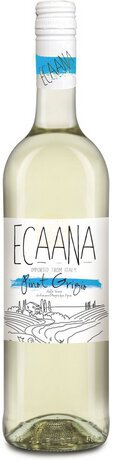 Ecaana Pinot Grigio V V