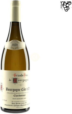 Paul Pernot Bourgogne Cote D'or Blanc