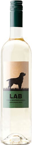 Lab White