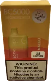 Elfbar Disposable Vape