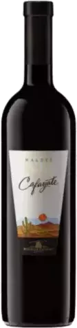 Cafayate Malbec Argentina Red Wine