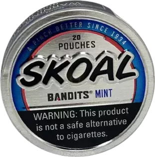Skoal Bandit Mint New Canstx