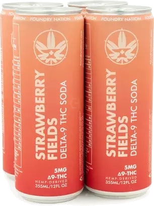 Foundry Nation Strawberry Fields Delta-9 5 MG