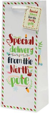 Gift Bag Special Delivery From the North Pole