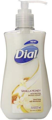 Dial Vanilla Honey Moisturizing Hand Soap