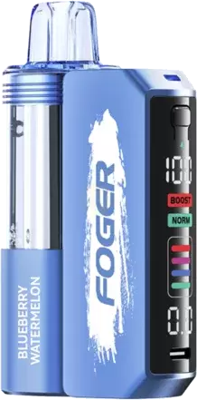 Foger Switch Pro Kit Blueberry Watermelon Disposable & Power Bank