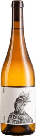 Castel Pujol Folklore Skin Ciontact White Wine Uruguay