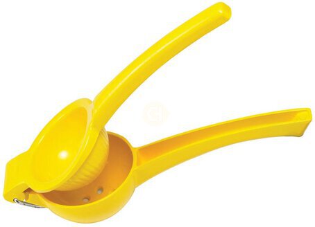 Wrap Art Citrus Press