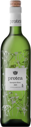 Protea Sauvignon Blanc South Africa Wine Glass