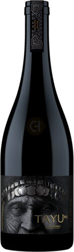 San Pedro Tayu Pinot Noir