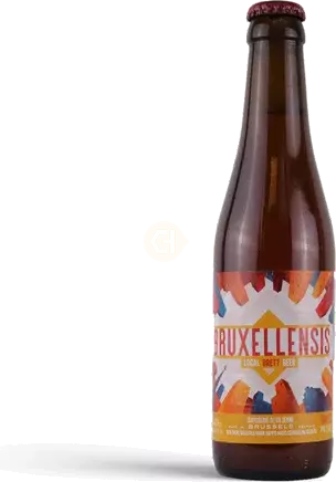 DE LA SENNE BRUXELLENSIS BRETT BEER 11.2OZ BT