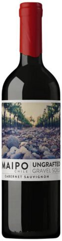 UNGRAFTED CABERNET SAUVIGNON MAIPO
