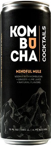Kombucha Ginger And Lime Juice