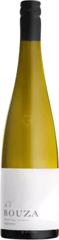 Bodega Bouza Albarino Uruguay