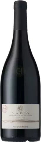 Terre Brulee South Africa Shiraz Cinsault