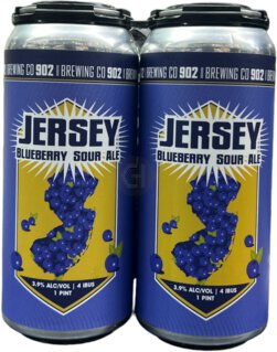 902 Brewing Jersey Blueberry Sour