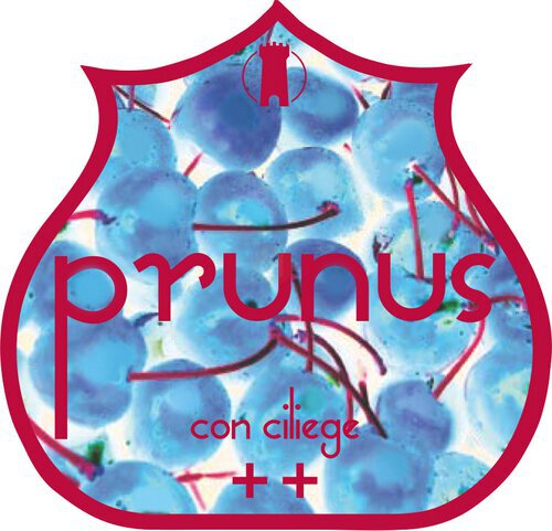 Birra Del Borgo Prunus Wild Cherry Sour