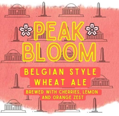 Red Beer Peak Bloom Cherry Blossom